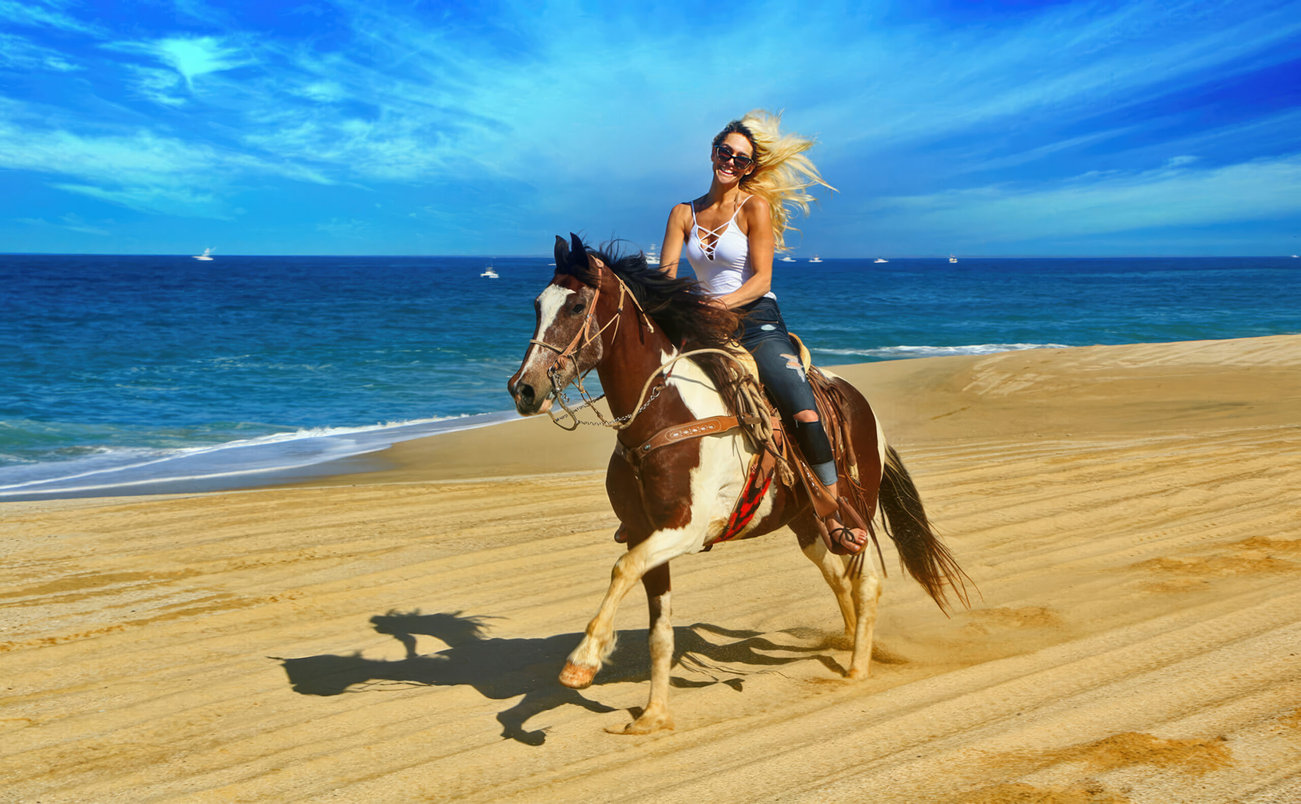 Beach Horseback Riding – Ride with a View!